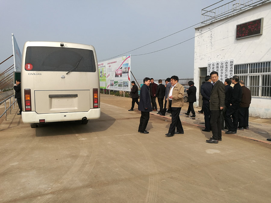 上海市領(lǐng)導(dǎo)視察聊勝一籌蔬菜基地(圖1)